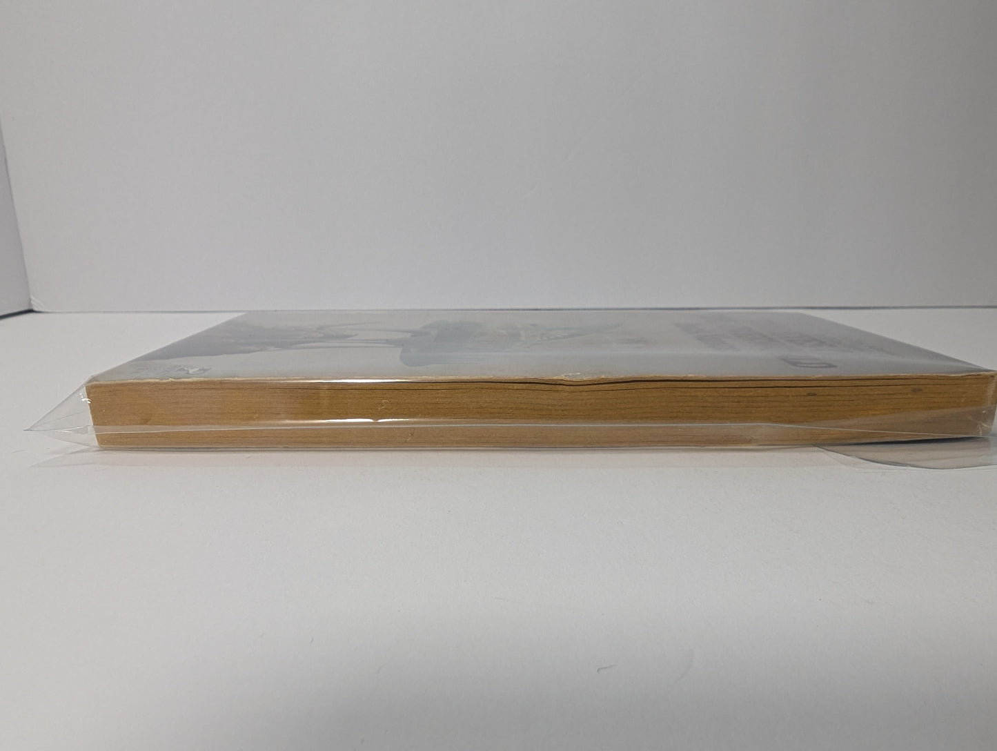 The Eyes of the Overworld