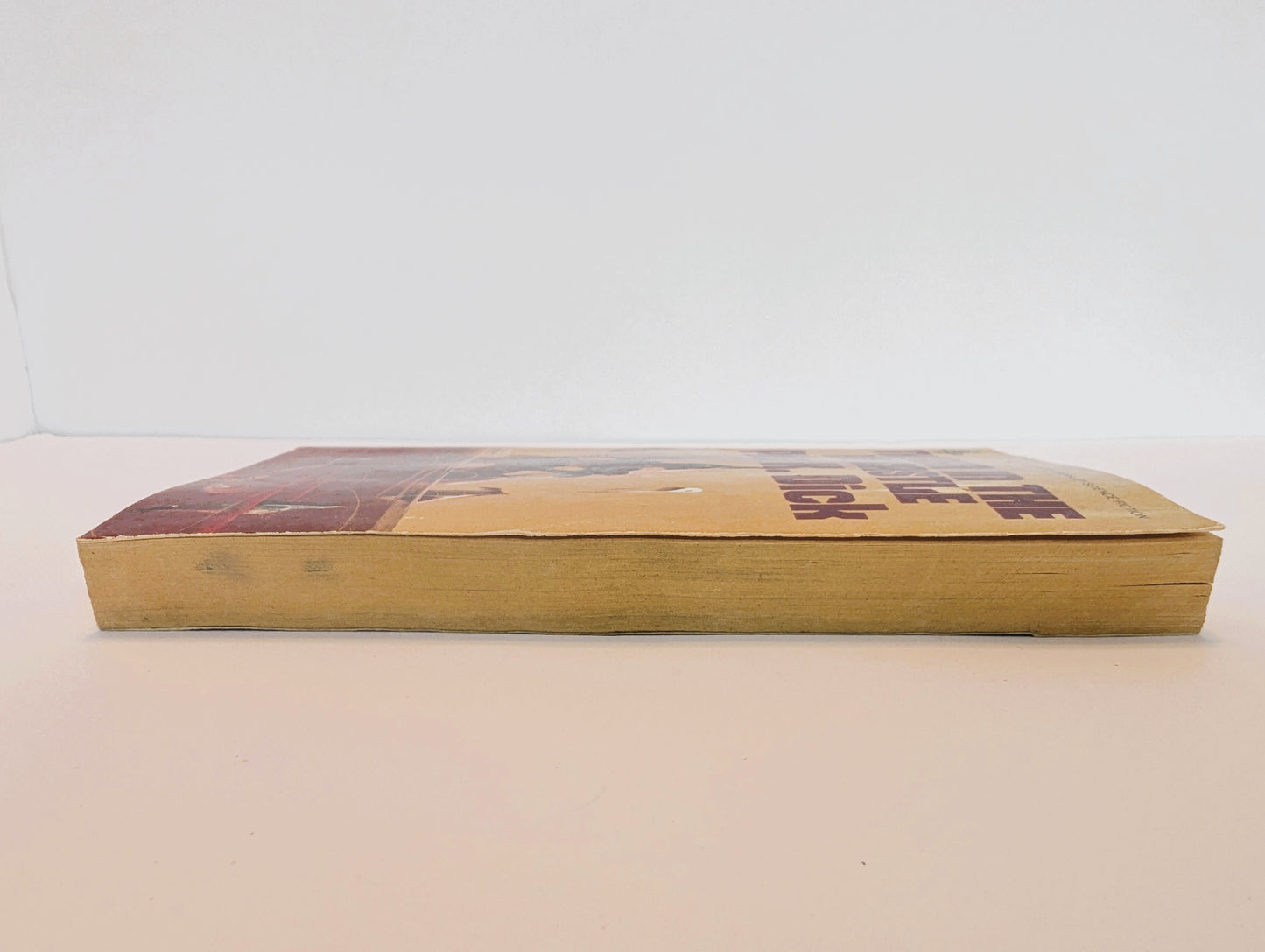 The Man in the High Castle