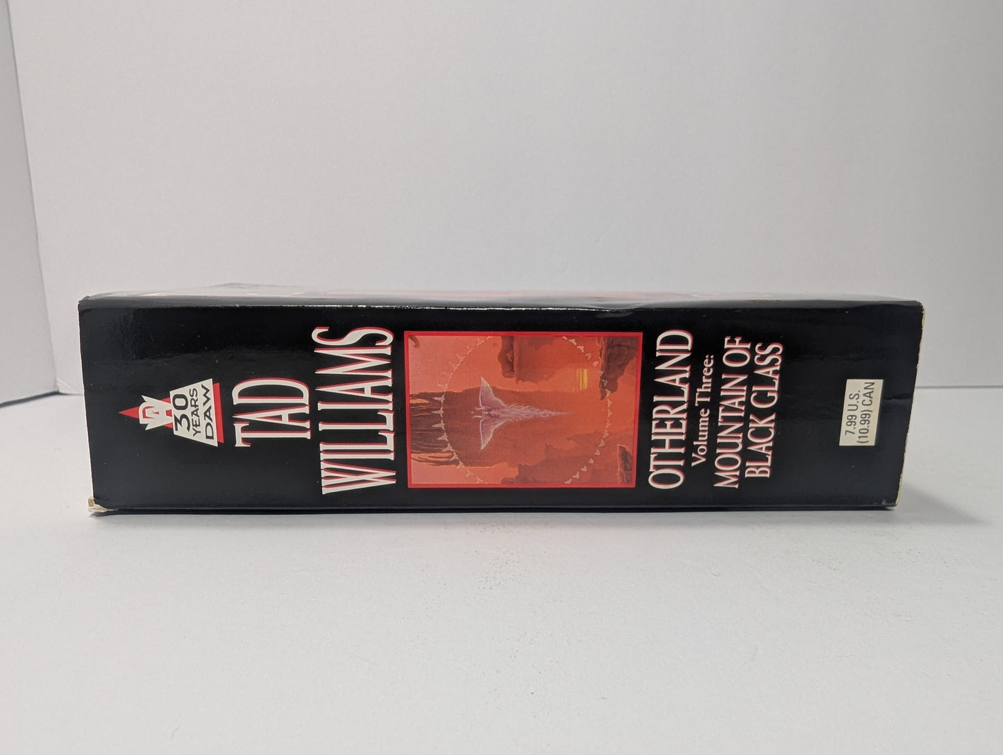 Otherland: Mountain of Black Glass